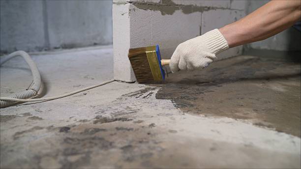 24/7 Emergency Crawl Space Encapsulation experts in Princeton, WI
